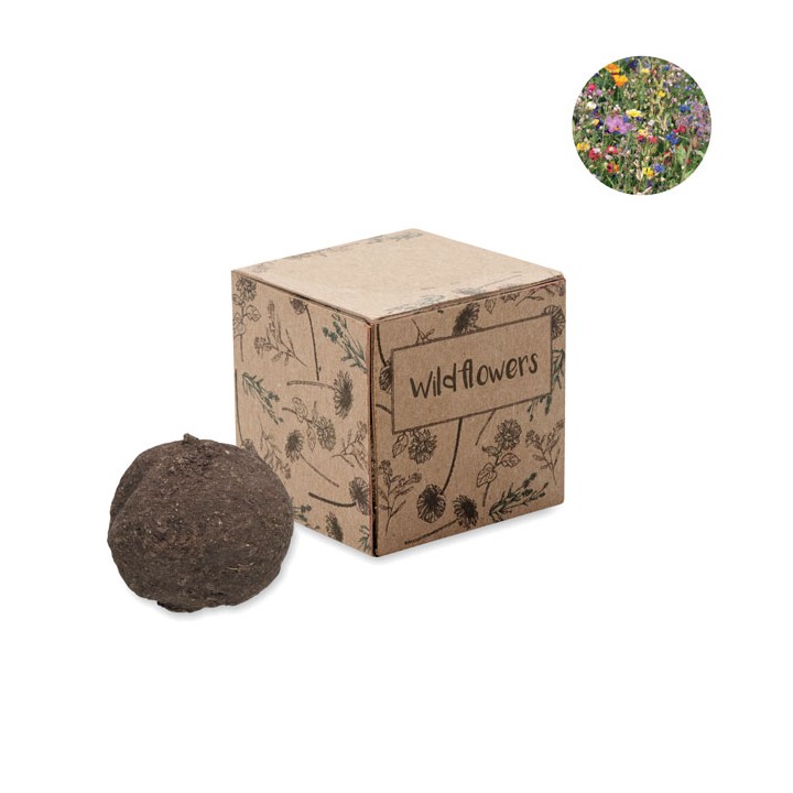 Boule graines de fleurs sauvage
