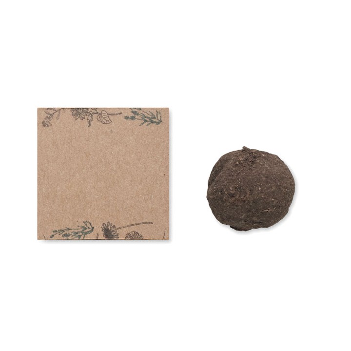 Boule graines de fleurs sauvage