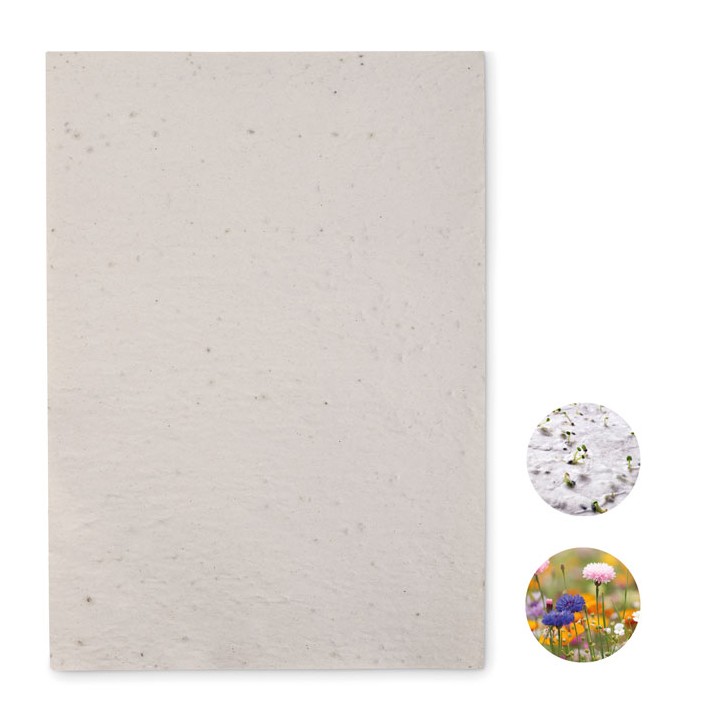 Papier A4 graines de fleurs