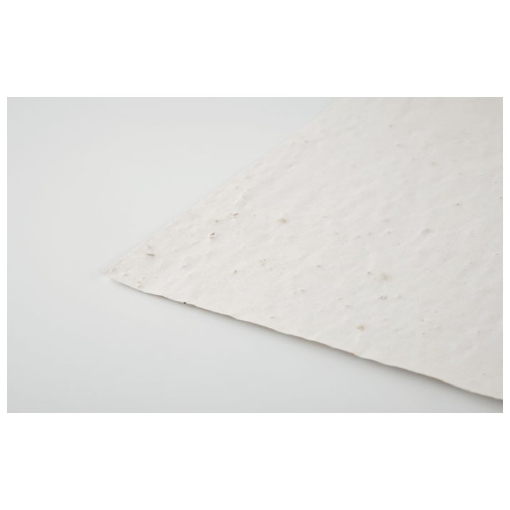 Papier A4 graines de fleurs
