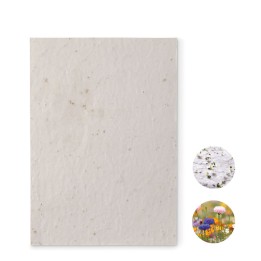 Papier A5 graines de fleurs
