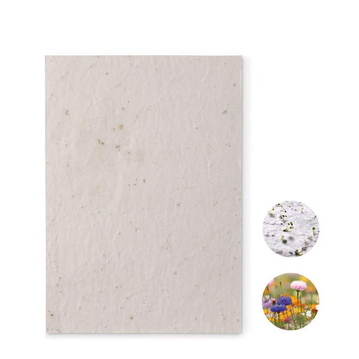 Papier A5 graines de fleurs