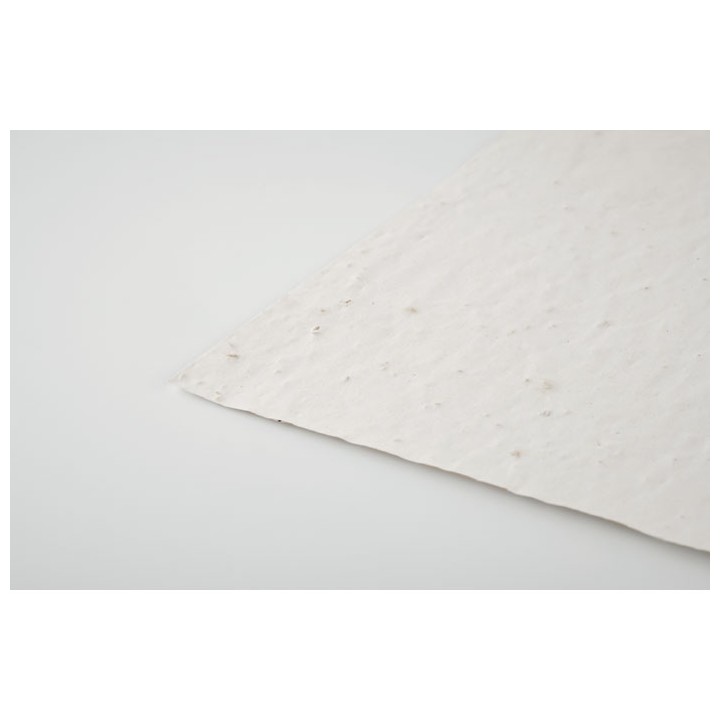 Papier A5 graines de fleurs