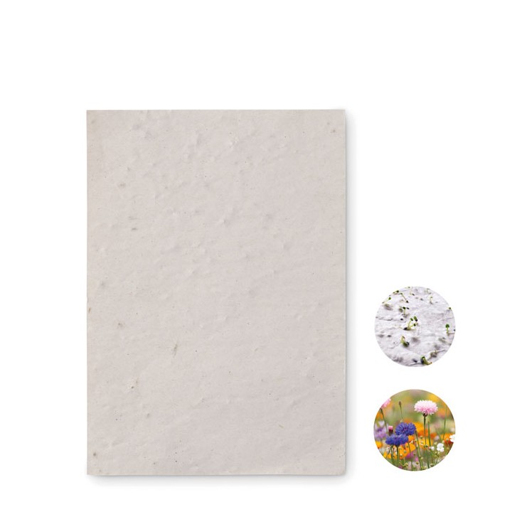 Papier A6 graines de fleurs