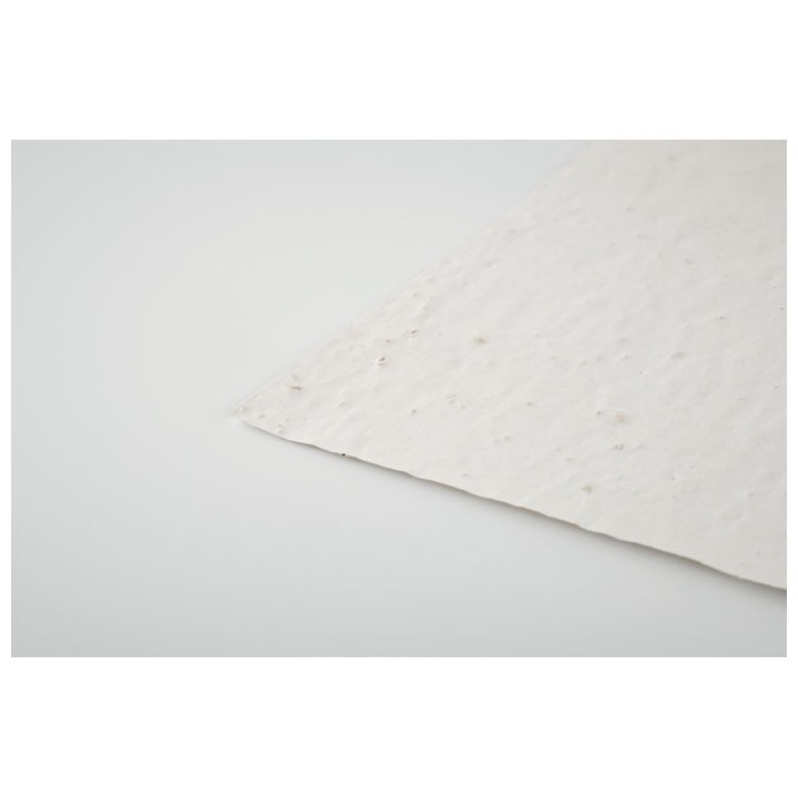Papier A6 graines de fleurs