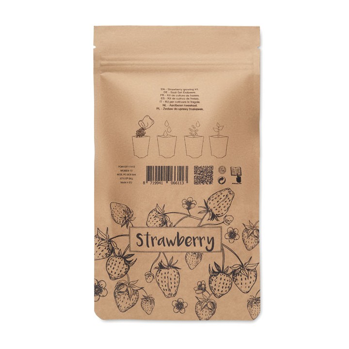 Kit de culture de fraises