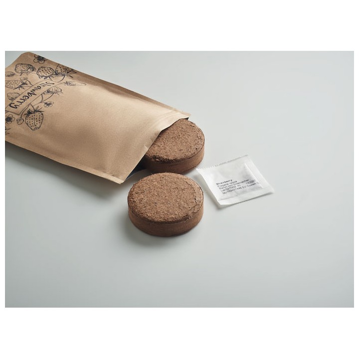 Kit de culture de fraises