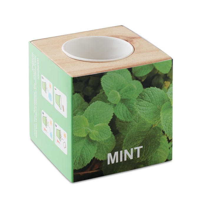 Pot en bois avec graine