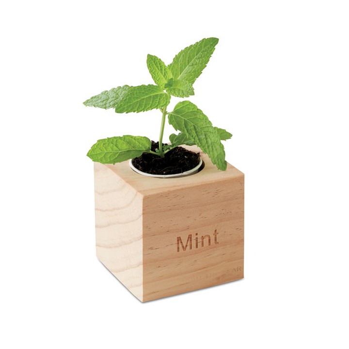 Pot en bois avec graine