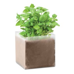 Substrat avec graines Basilic.