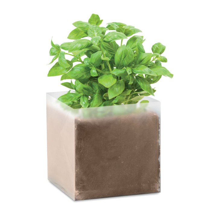 Substrat avec graines Basilic.