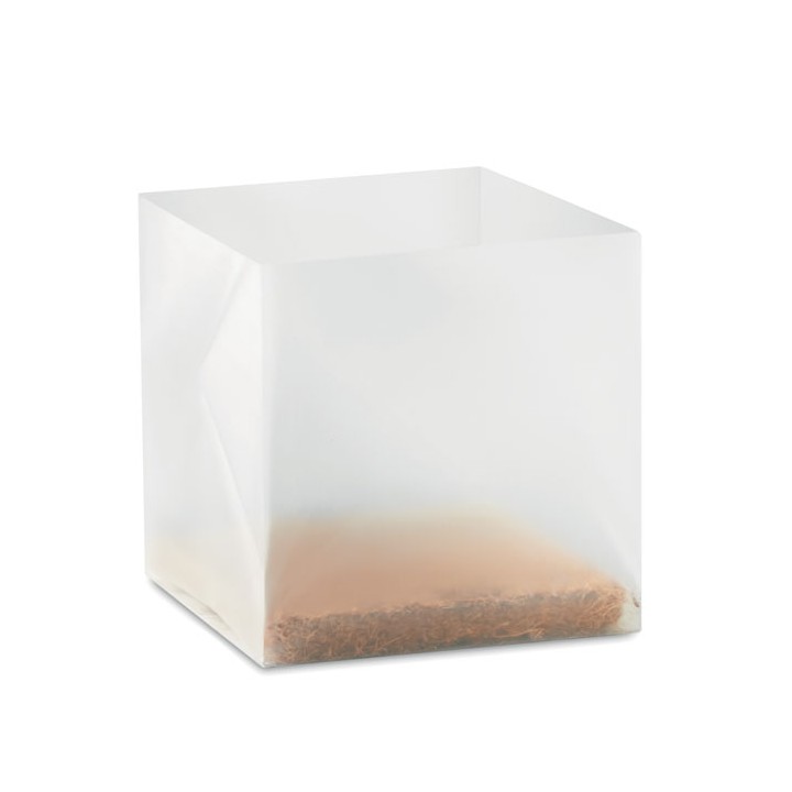 Substrat avec graines Basilic.