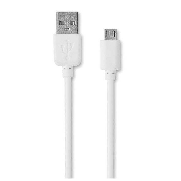 Grand briquet USB