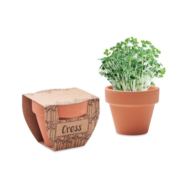 Pot avec graines de cresson