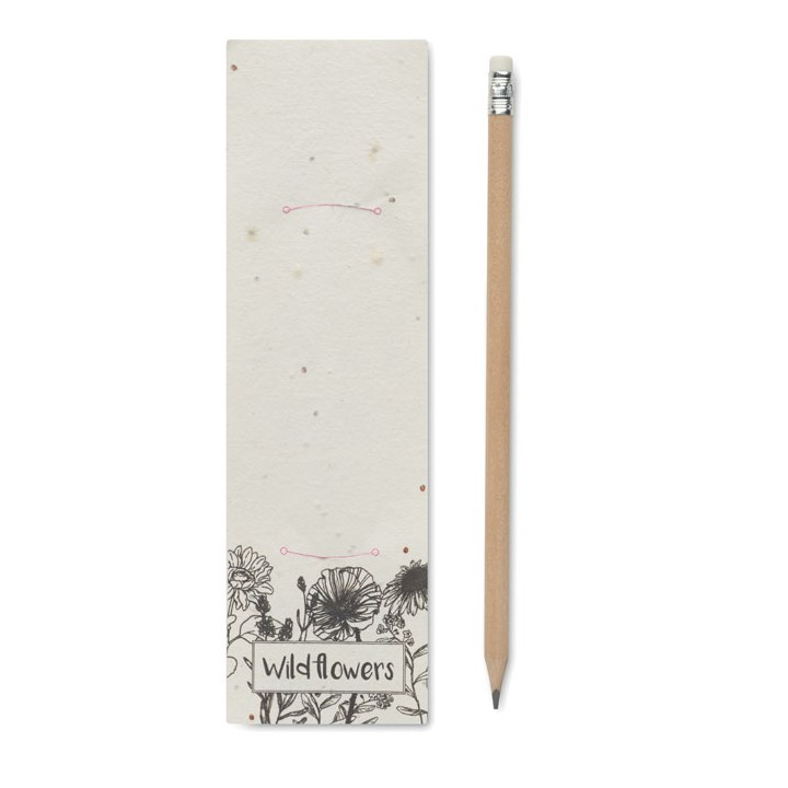 Crayon à papier et graines