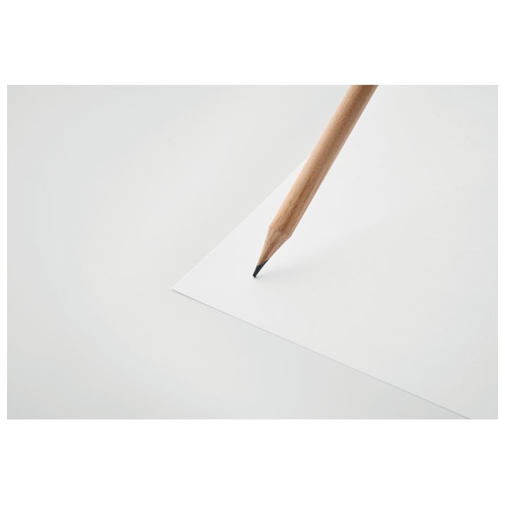 Crayon à papier et graines