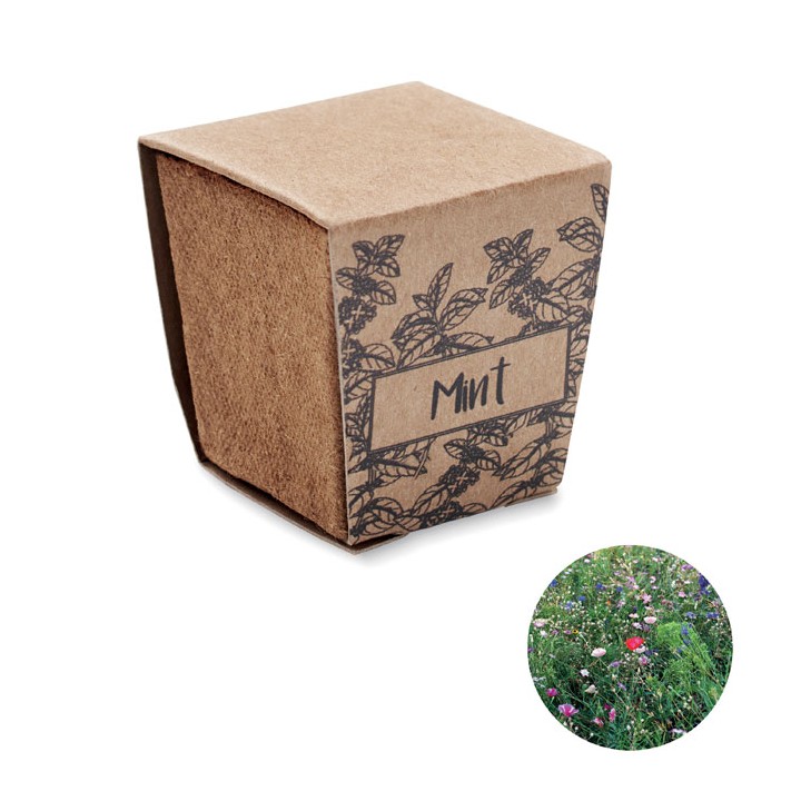 Kit de graines de menthe