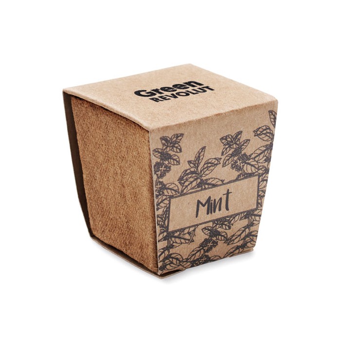 Kit de graines de menthe