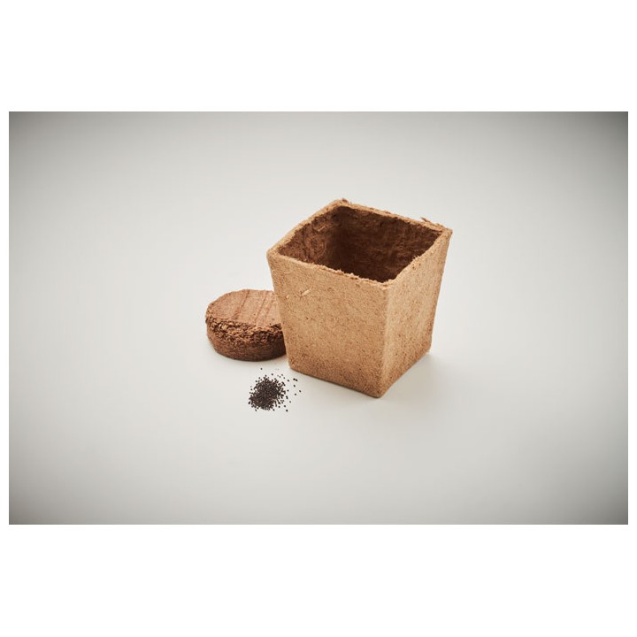 Kit de graines de menthe