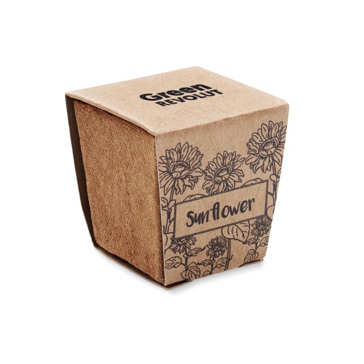 Kit de tournesol
