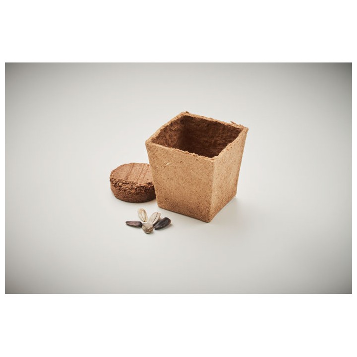 Kit de tournesol