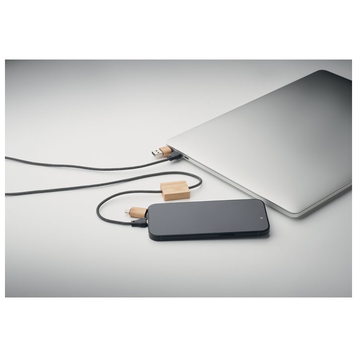 Câble de chargement 60W
