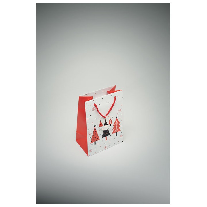 Sac cadeau petit format