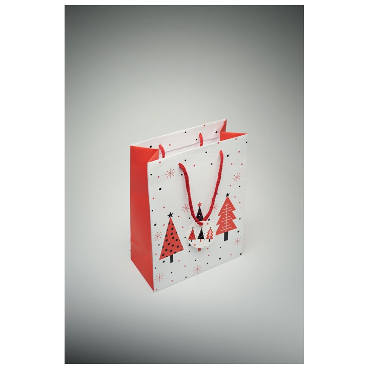 Sac cadeau format moyen