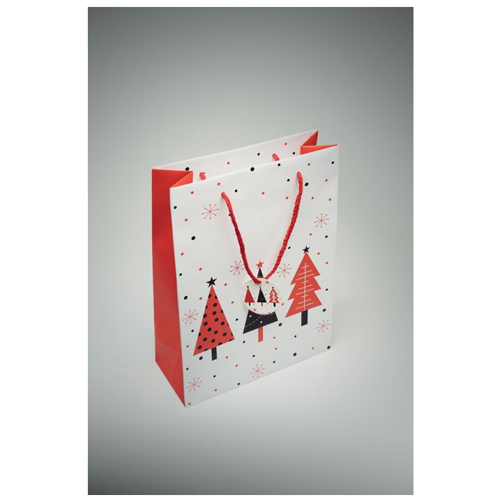 Sac cadeau grand format