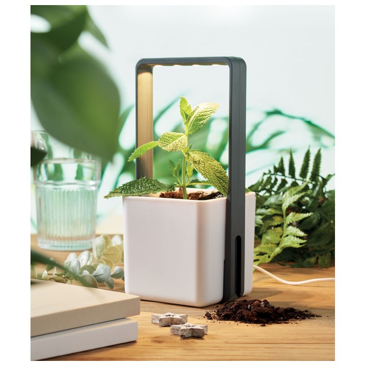 Jardin intérieur éclairage LED