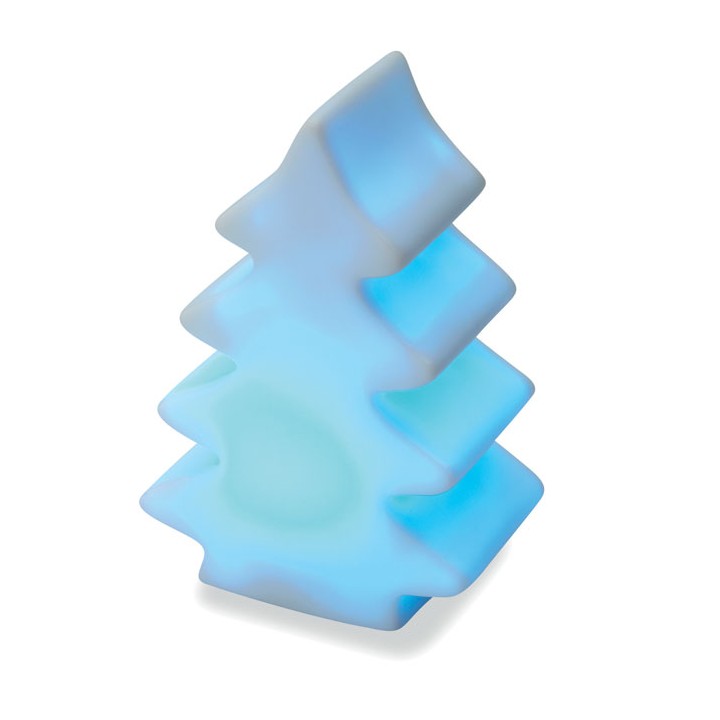 Lumière changeante  sapin