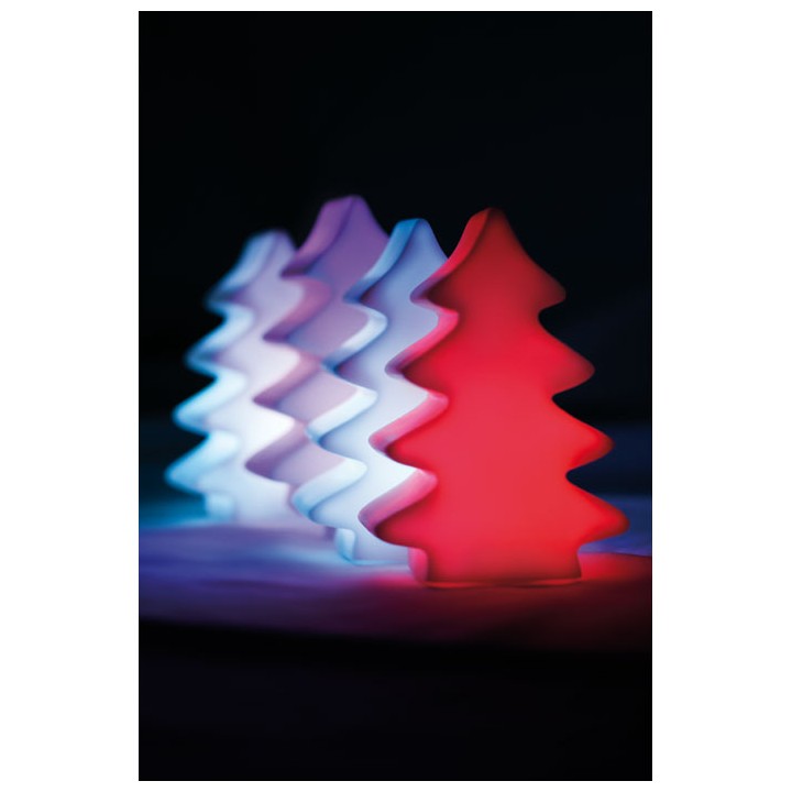 Lumière changeante  sapin