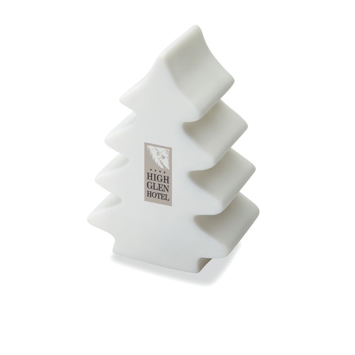 Lumière changeante  sapin