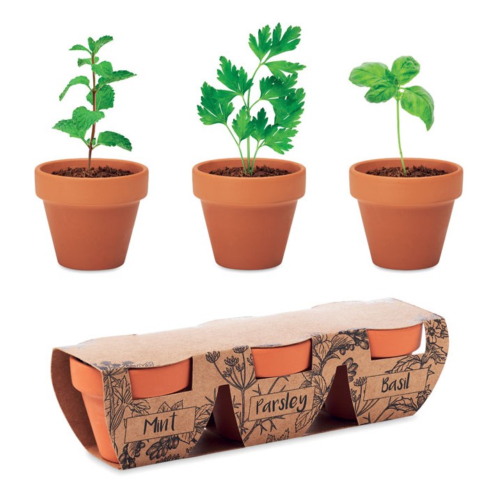 3 pots en terre