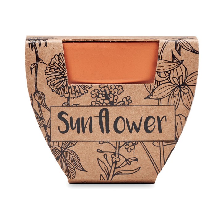 Pot graines de tournesol