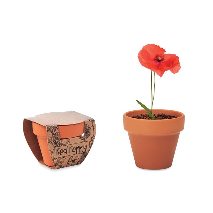 Pot graines de coquelicot