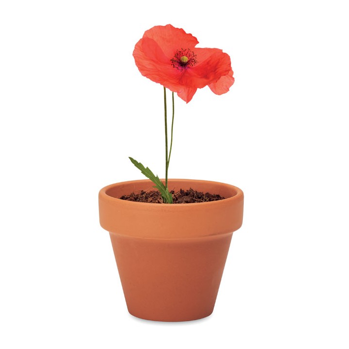 Pot graines de coquelicot