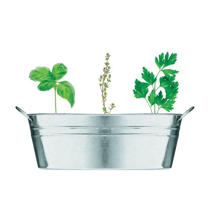Bac en zinc & herbes aromatique