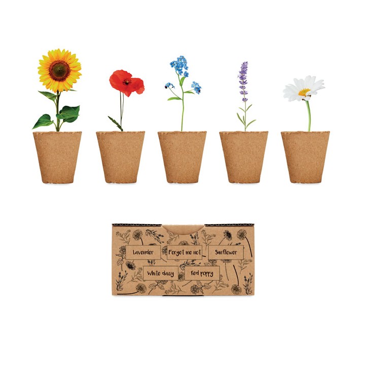 Kit de culture de fleurs