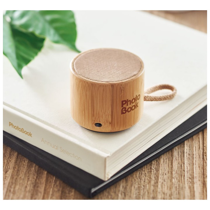 Haut-parleur sans fil bambou